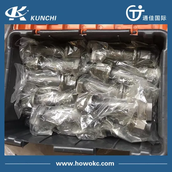 Factory Price Sinotruk HOWO Truck Parts Rear Wheel Bolt Wg9112340123 Bolt and Nut 