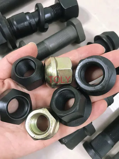 Grade Porca 10 High Quality European Truck Wheel Front Rear Nut 